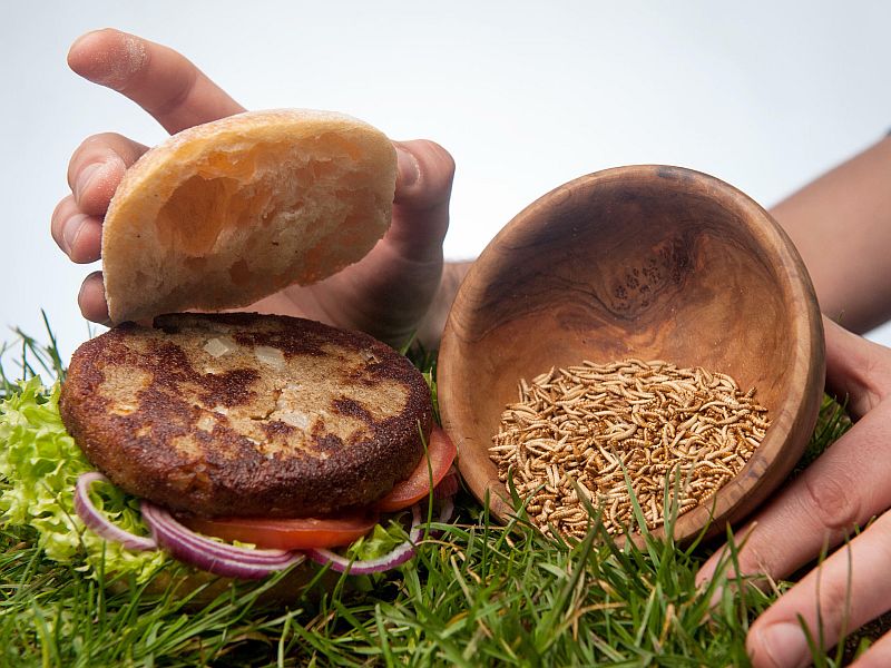 Aufgetischt: 5 Fakten zum Insekten-Essen