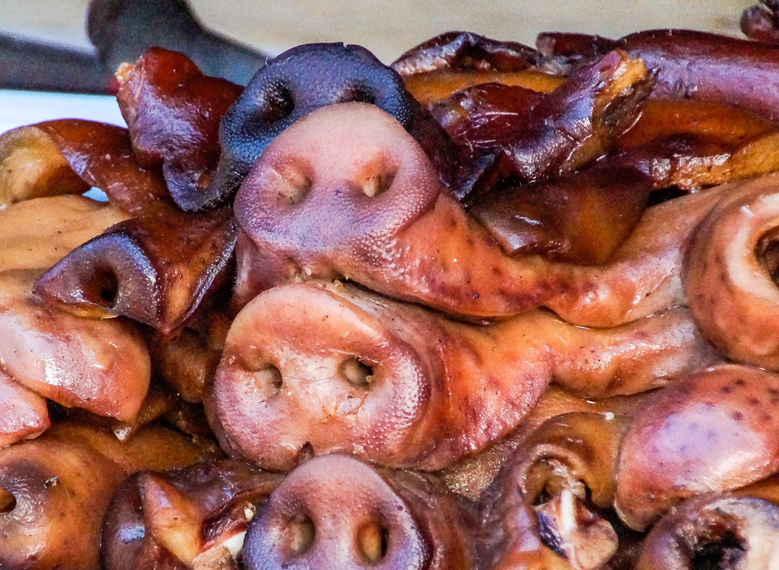 Erfreuliches Halbjahr für heimische Schweinebauern