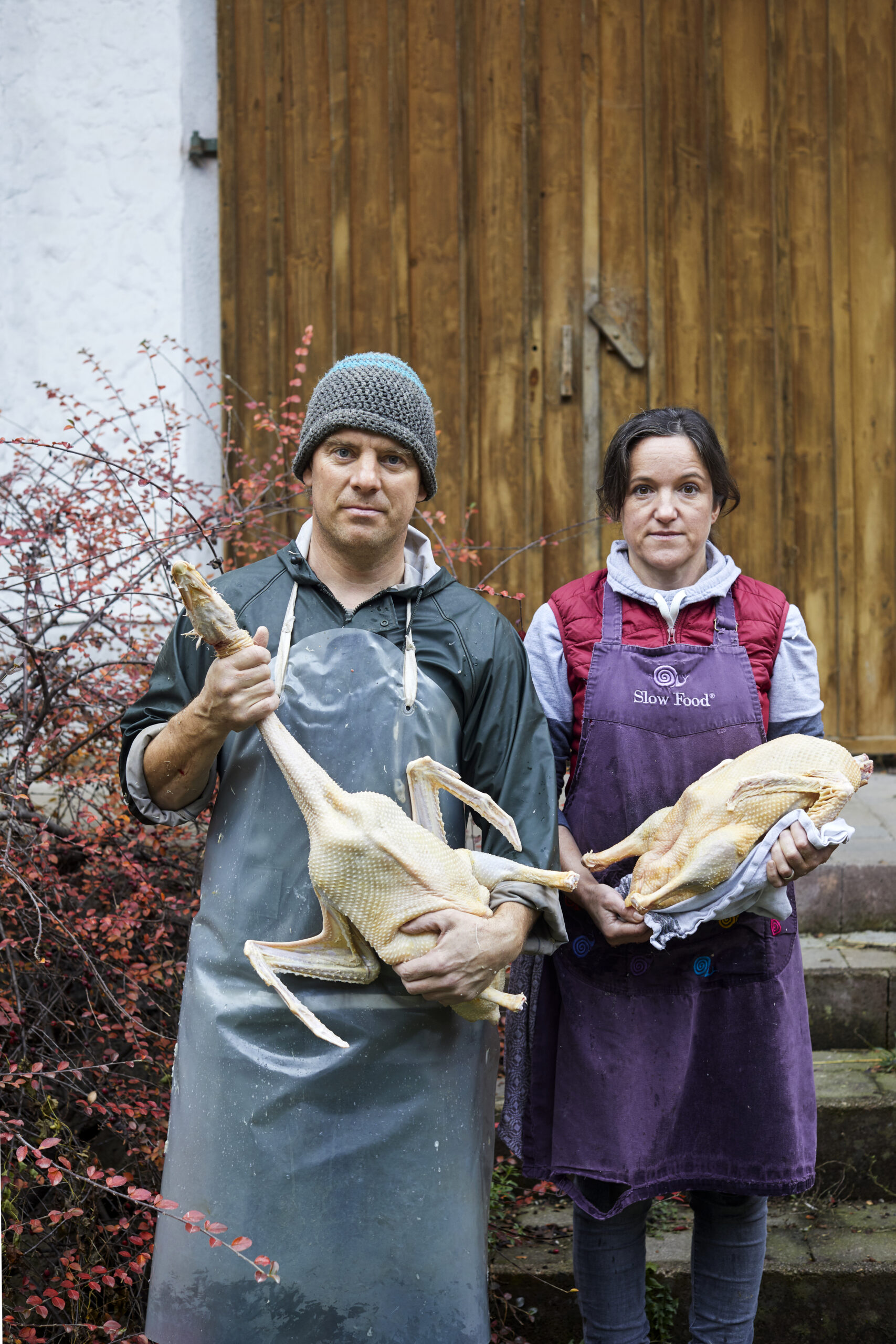 Die Bio-Gänse vom Köglerhof