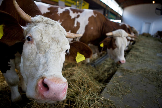 SPAR fordert  Kennzeichnungspflicht in  Gastronomie