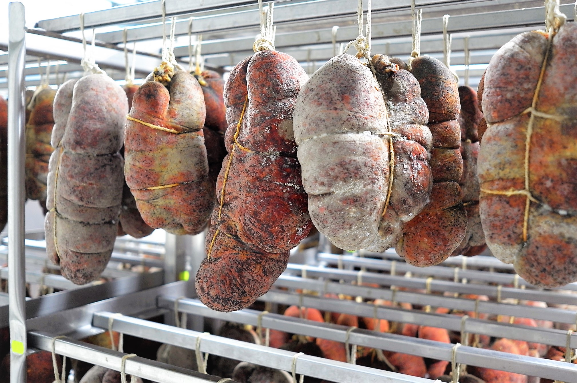 Italiens schärfste Stiefelspitze