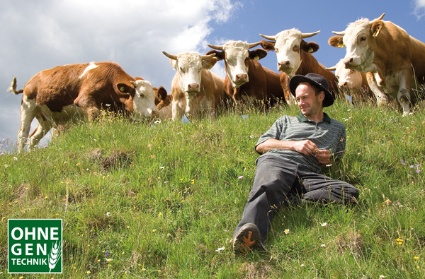 Schirnhofer: Sanierung läuft nach Plan