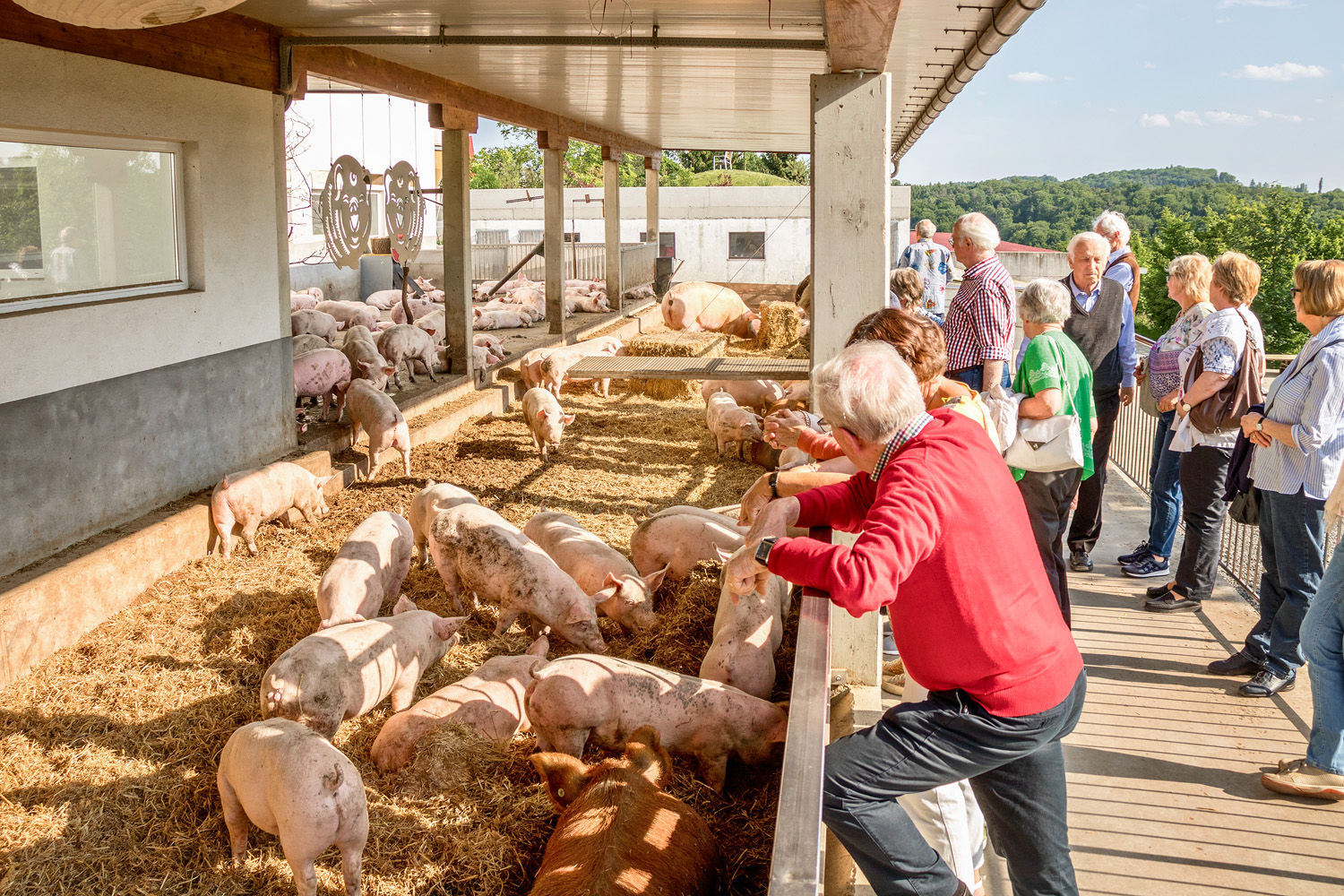 Herbstzeit im Vulkanland bei Vulcano