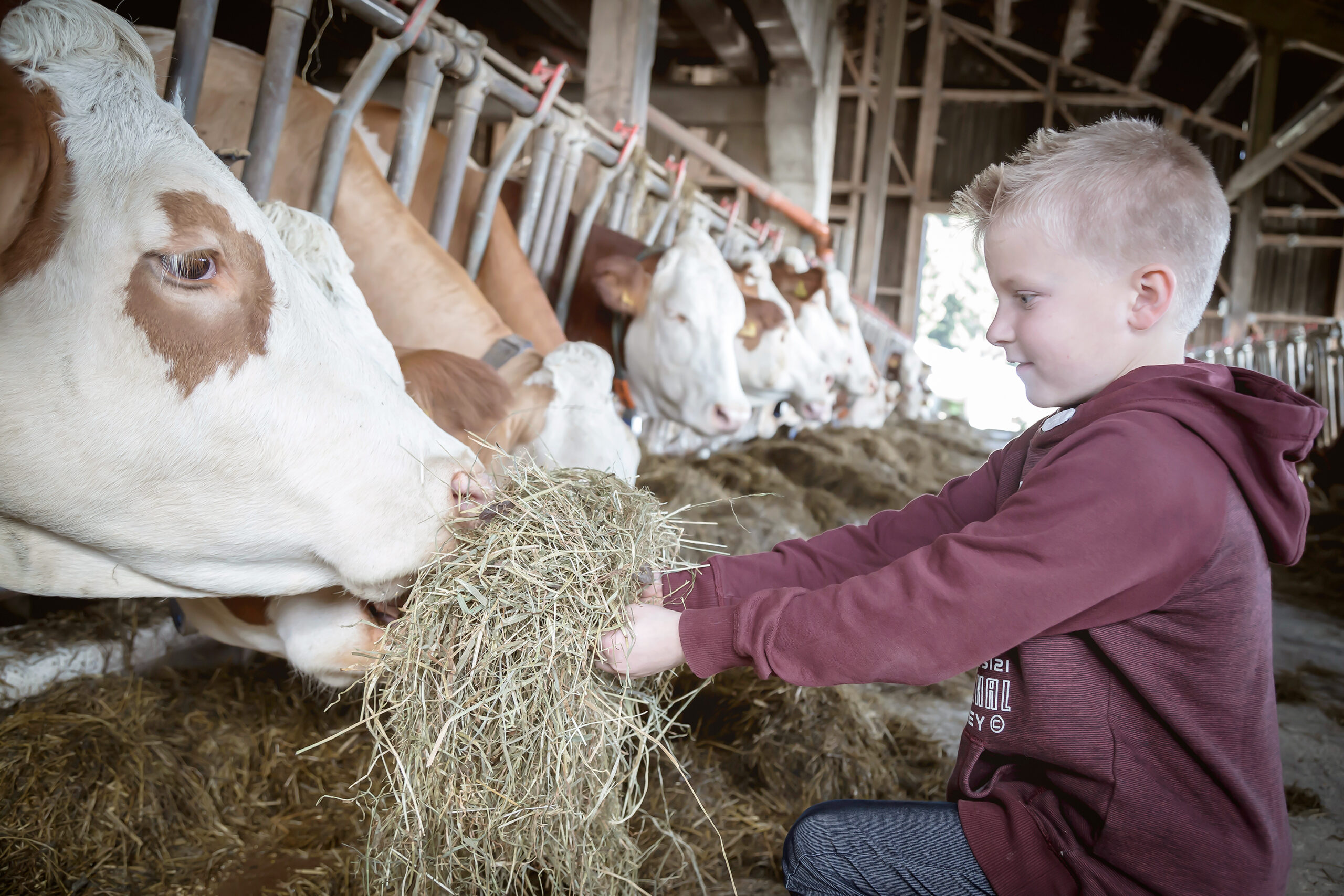Am und vom Bauernhof lernen endlich wieder möglich