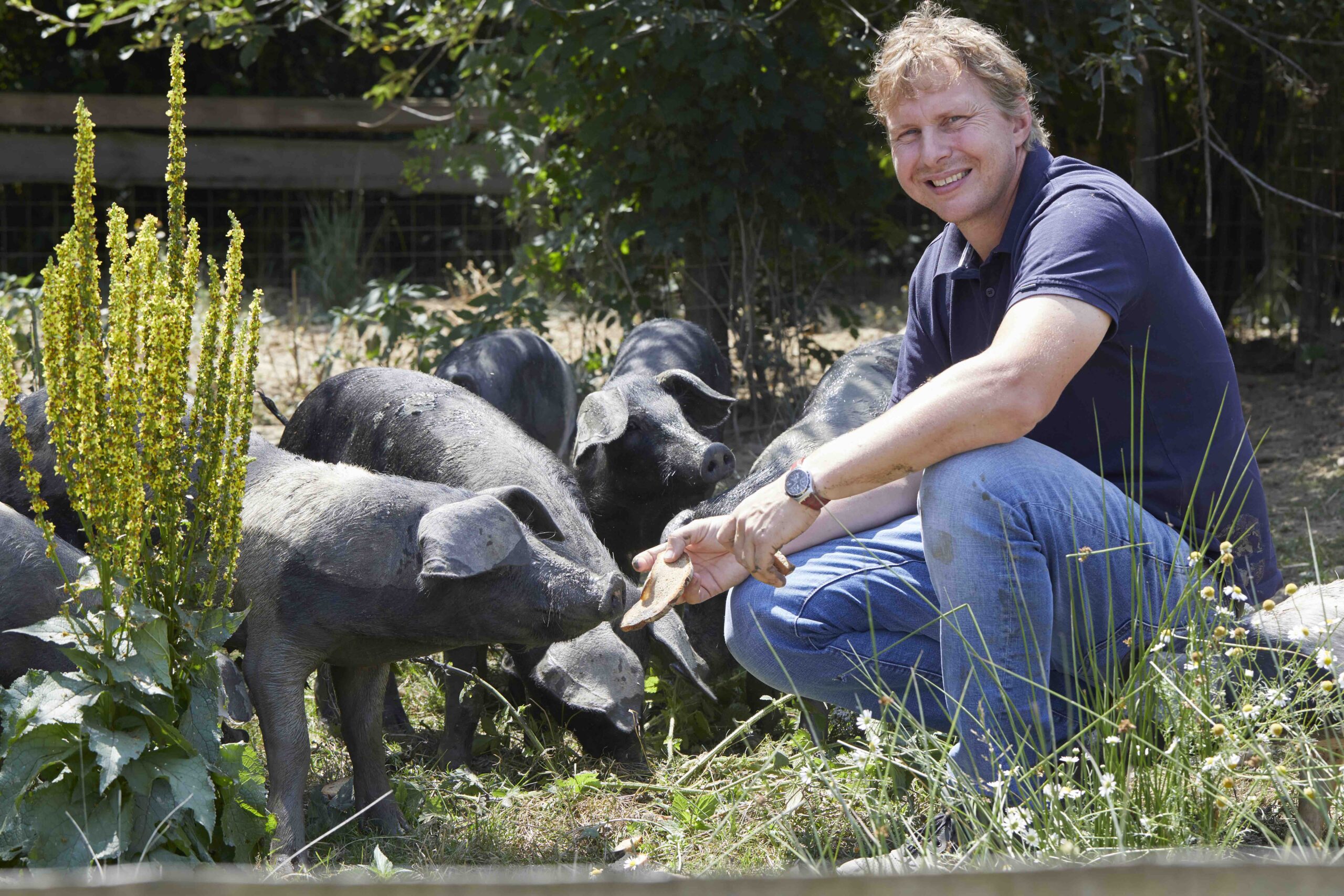 Falstaff 2022: Das sind die beliebtesten Fleischhauer in Österreich