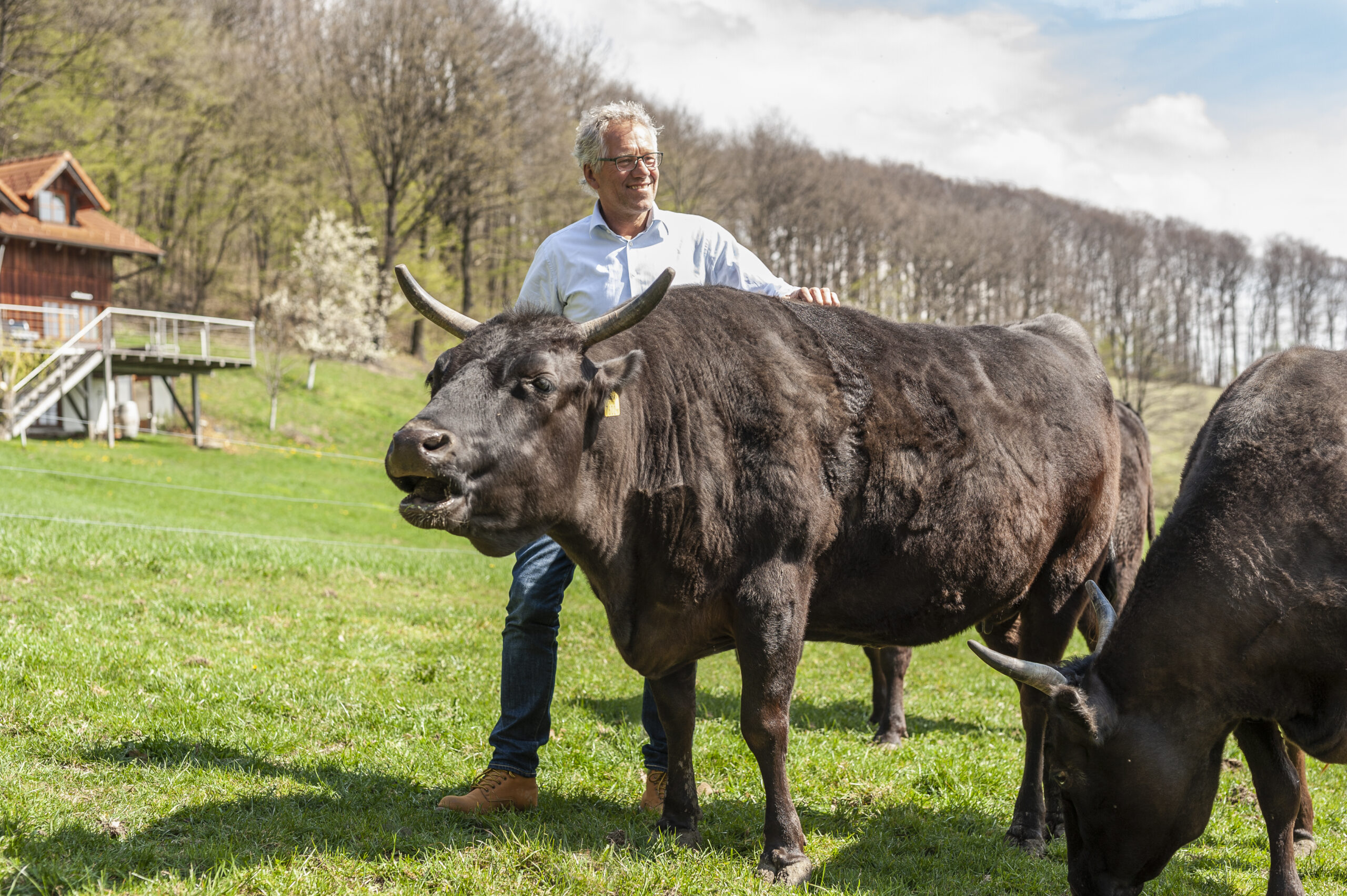 Rind statt Rad: Kobe boomt wie nie