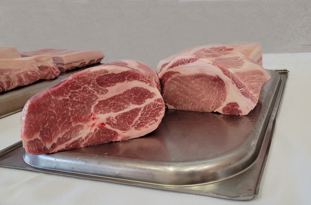 Das Sieger-Schweinefleisch: Ötscherblick-Schwein (1), eine neue Kreuzung aus Edelschwein (Mutter) und Duroc (Vater).