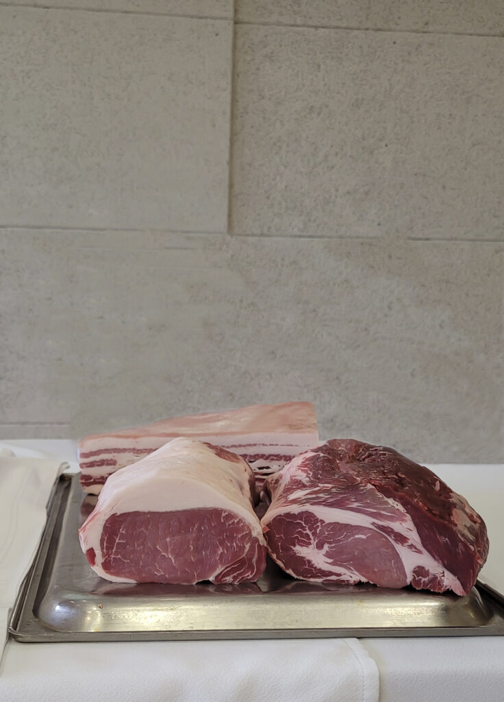 Der zweite Sieger: Das Wollschwein, eine alte Rasse, die durch ihr ungewöhnliches Haarkleid mit Unterwolle und locki- gen Borsten erkennbar ist.