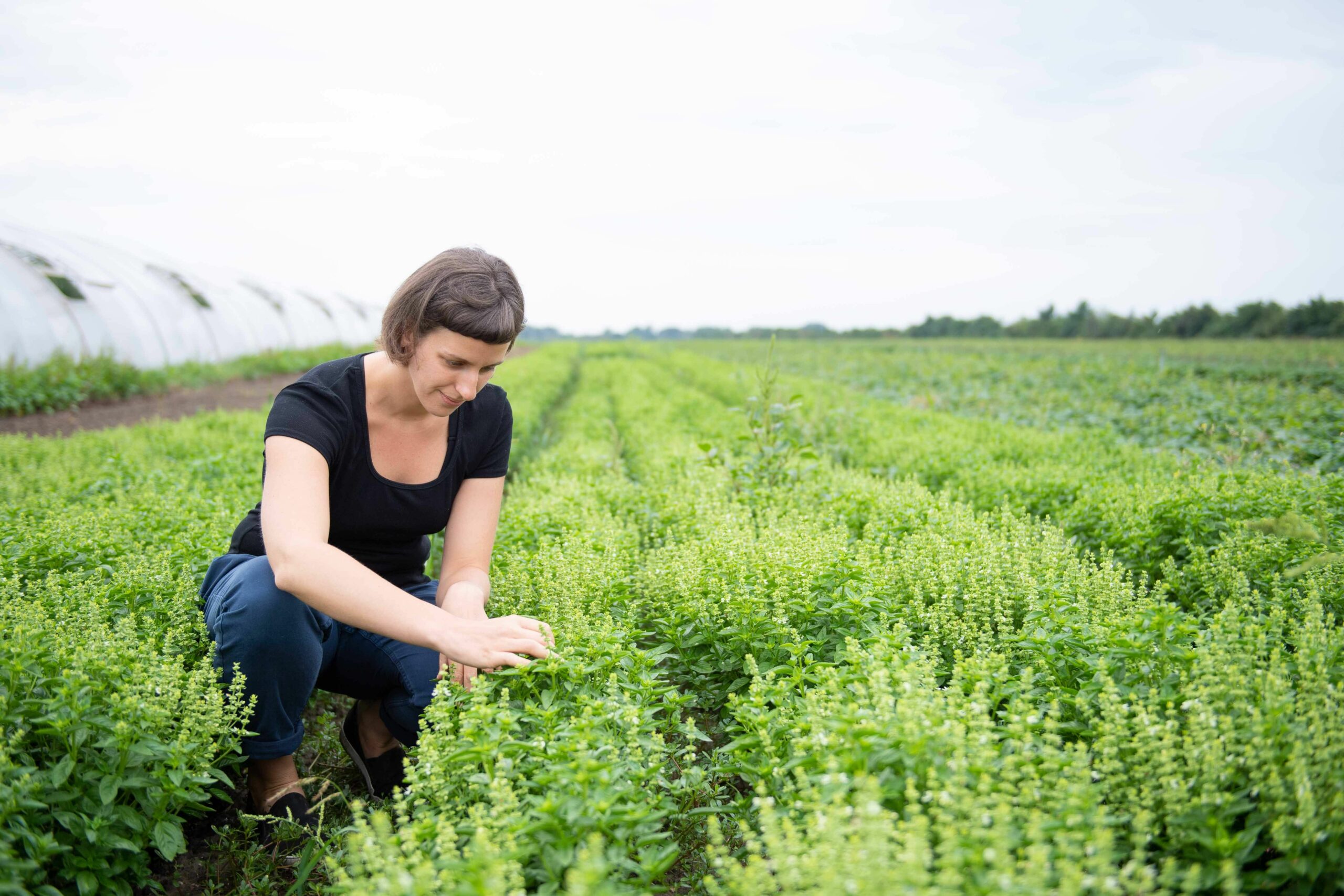 Das neue Fairness-Büro: Rasche, anonyme Hilfe für Bauern bei unfairen Geschäftspraktiken