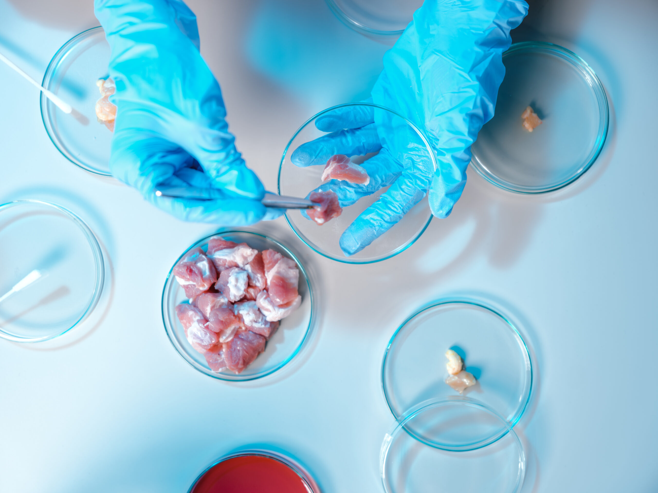 Greenpeace-Test: Mehr als jedes dritte Stück Fleisch mit antibiotikaresistenten Keimen belastet