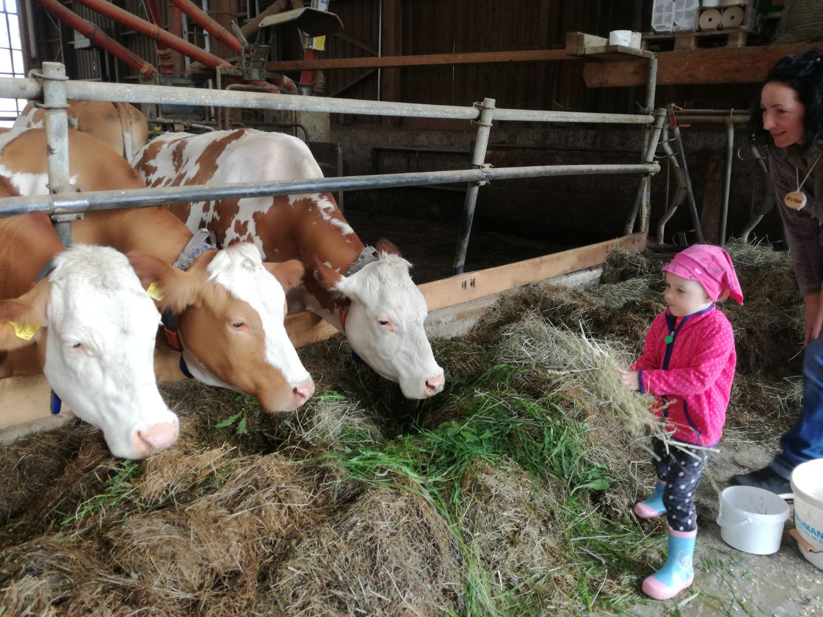 Aufklärungsarbeit für Kinder direkt am Bauernhof boomt