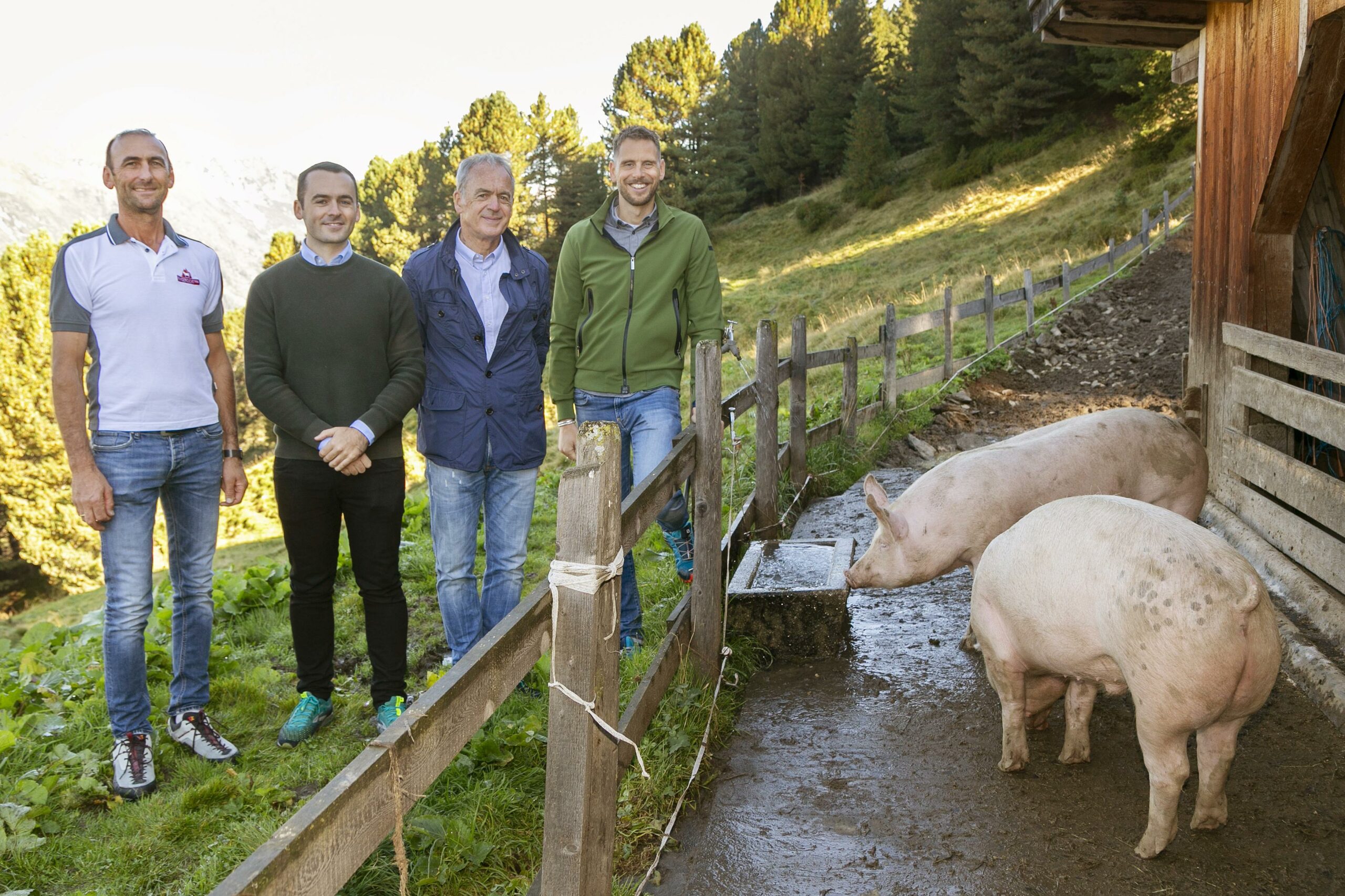 Wo sich die Almschweine „sauwohl“ fühlen