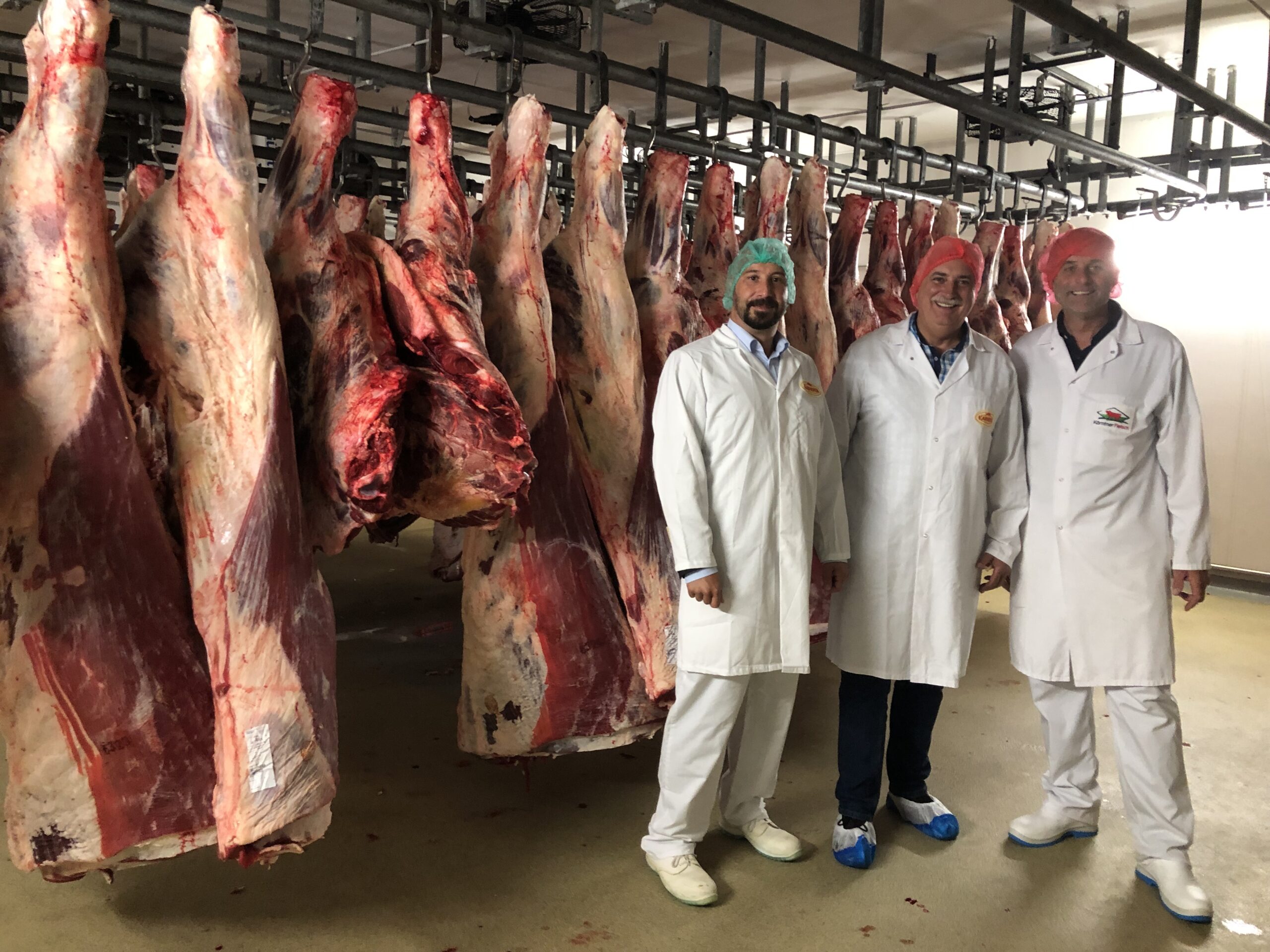 Karnerta: Ein Rundgang in der neuen Zerlegung