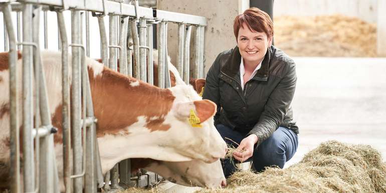 Kalb Rosé: Herkunftskennzeichnung reduziert Kälberexporte