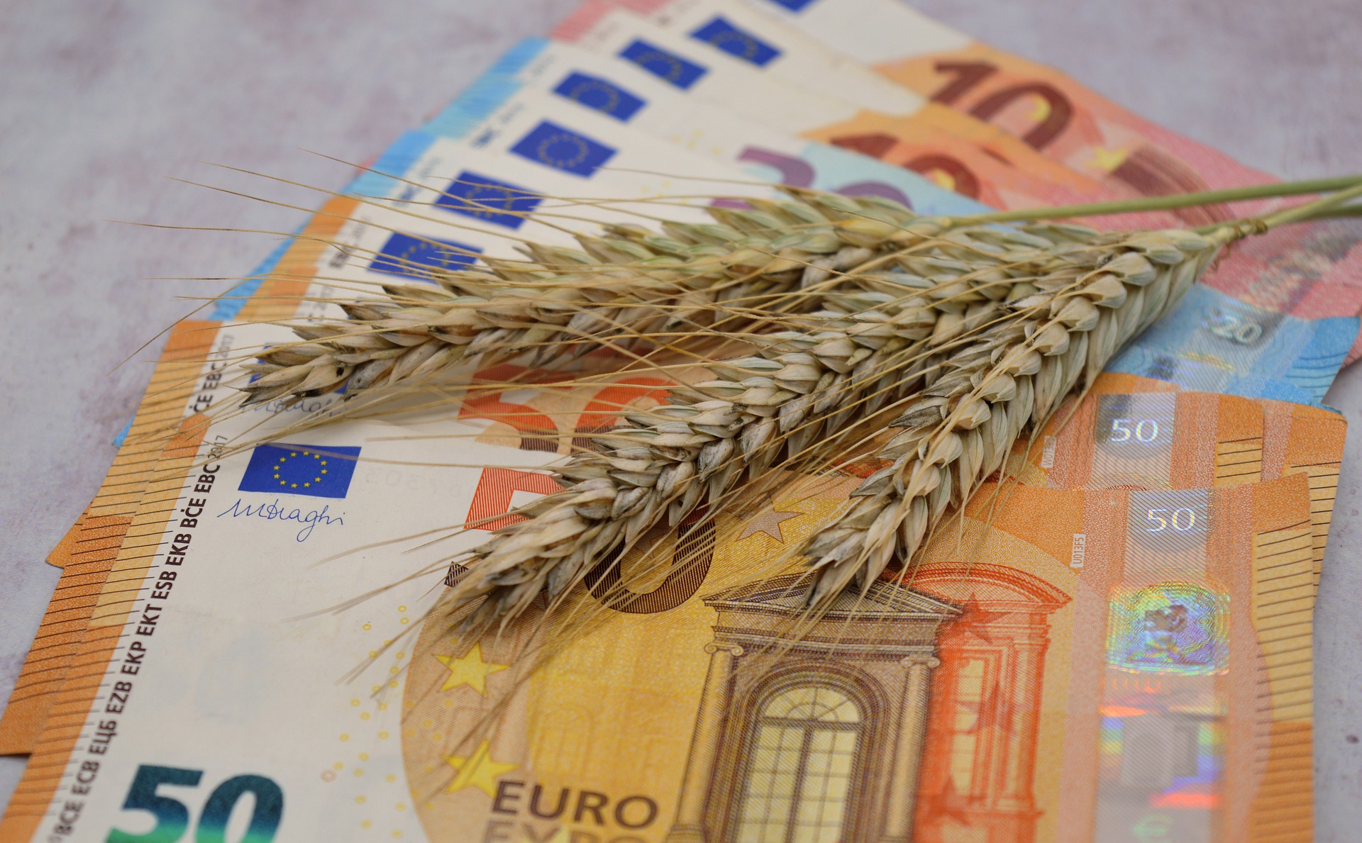 FAO-Lebensmittelpreisindex war im November den zweiten Monat stabil