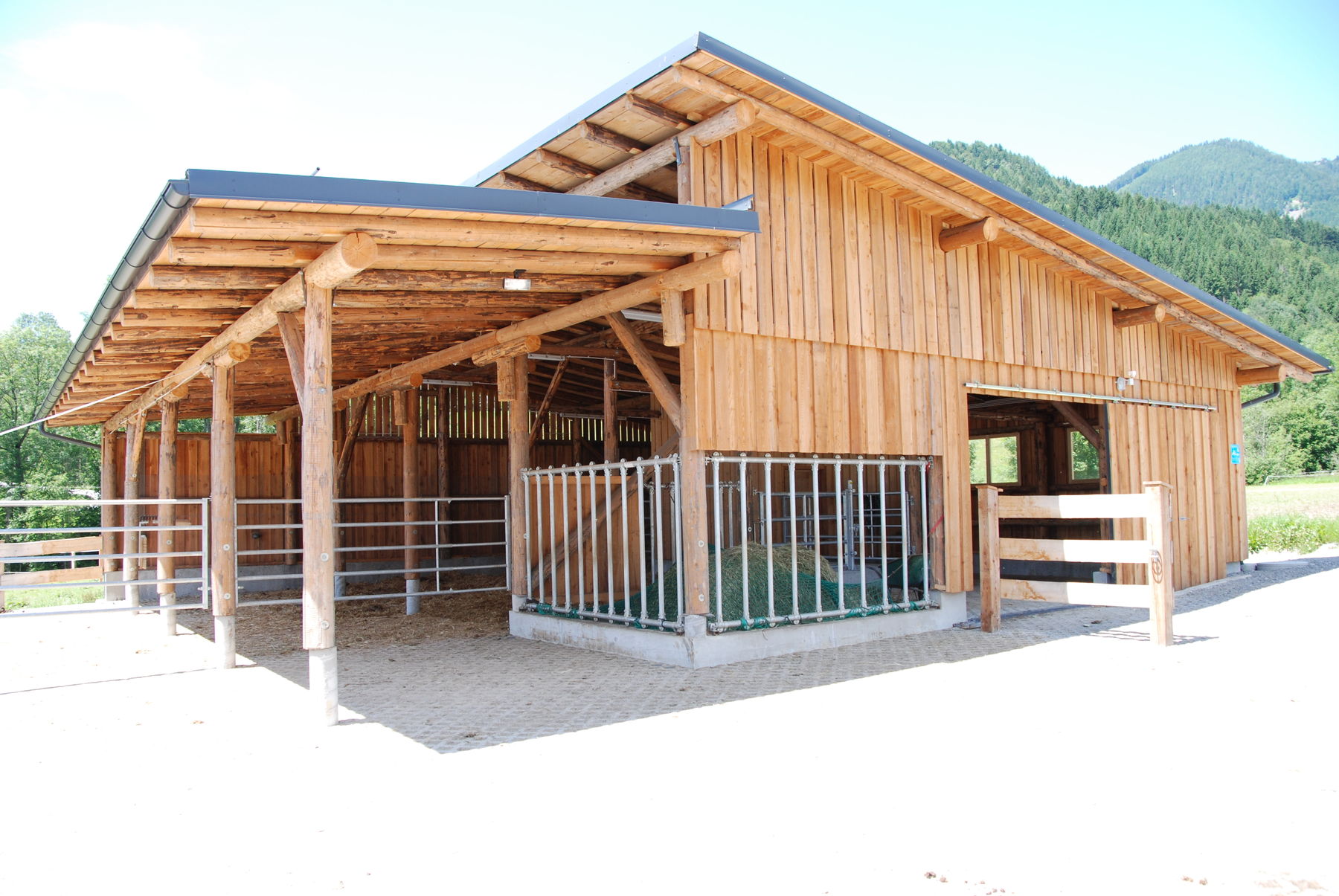 Graz: Zum 14-ten Mal wird ein Preis für Musterbeispiele für tierfreundliches Bauen verliehen