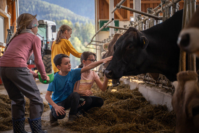 Neue Schule am Bauernhof-Betriebe und Seminarbäuerinnen in NÖ