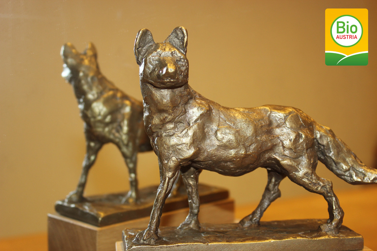 BIO AUSTRIA startet den Bio-Innovationswettbewerb „Bio-Fuchs 2023“ für Biobäuerinnen und Biobauern