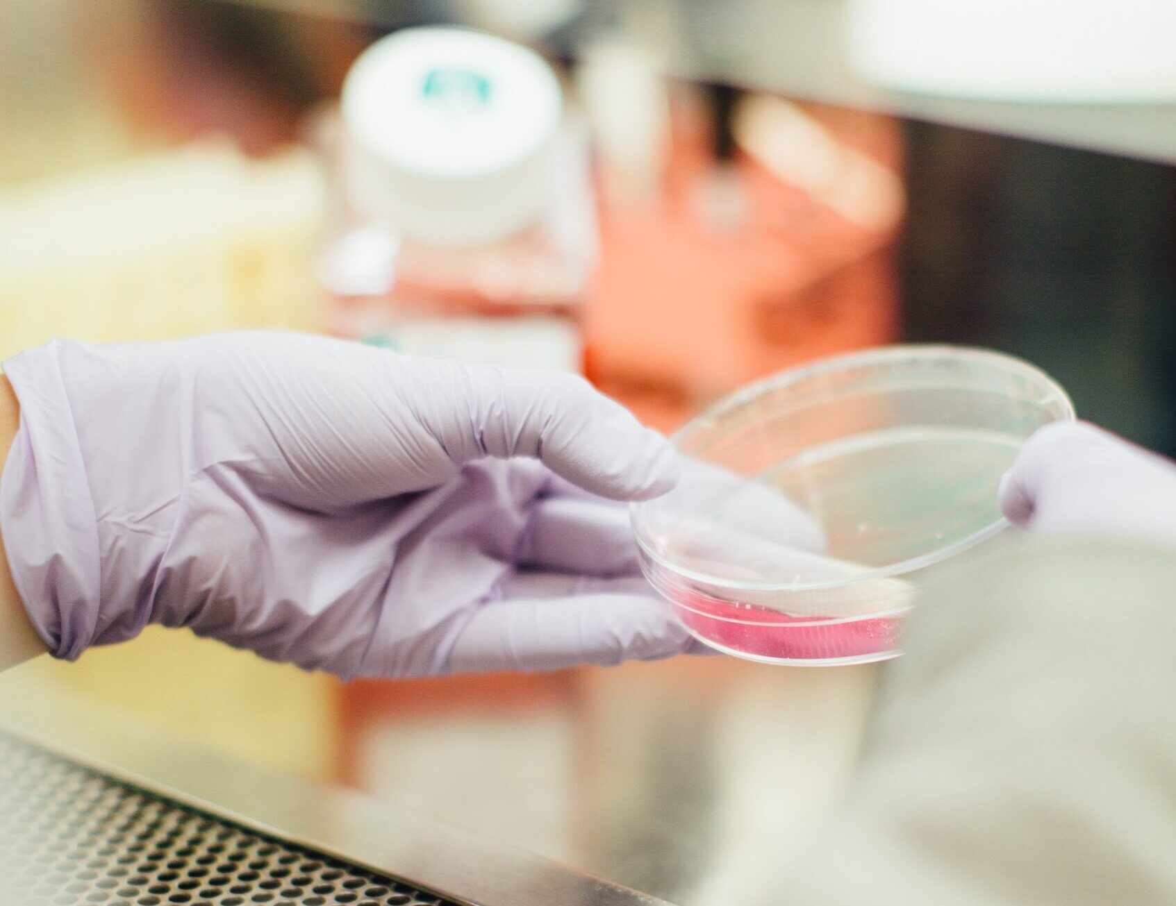 43.625 Stimmen gegen Laborfleisch: Ein starkes Signal aus Kärnten