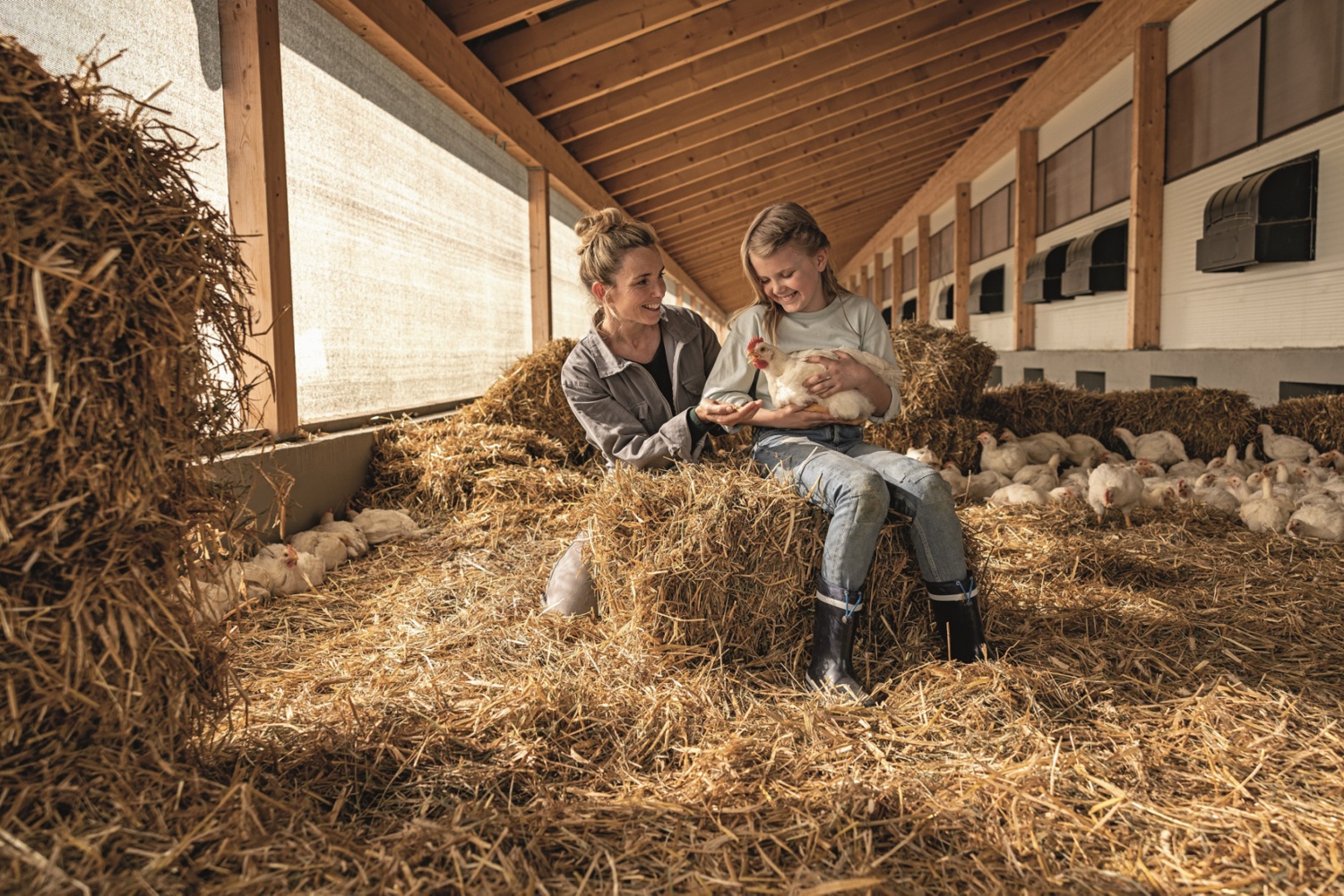 Hofer: bis 2030 Frischfleisch-Produkte zu 100% in Tierwohl-Qualität