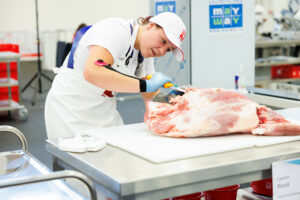 AustriaSkills 2023: Staatsmeisterin Carolin Pirolt bei der Arbeit