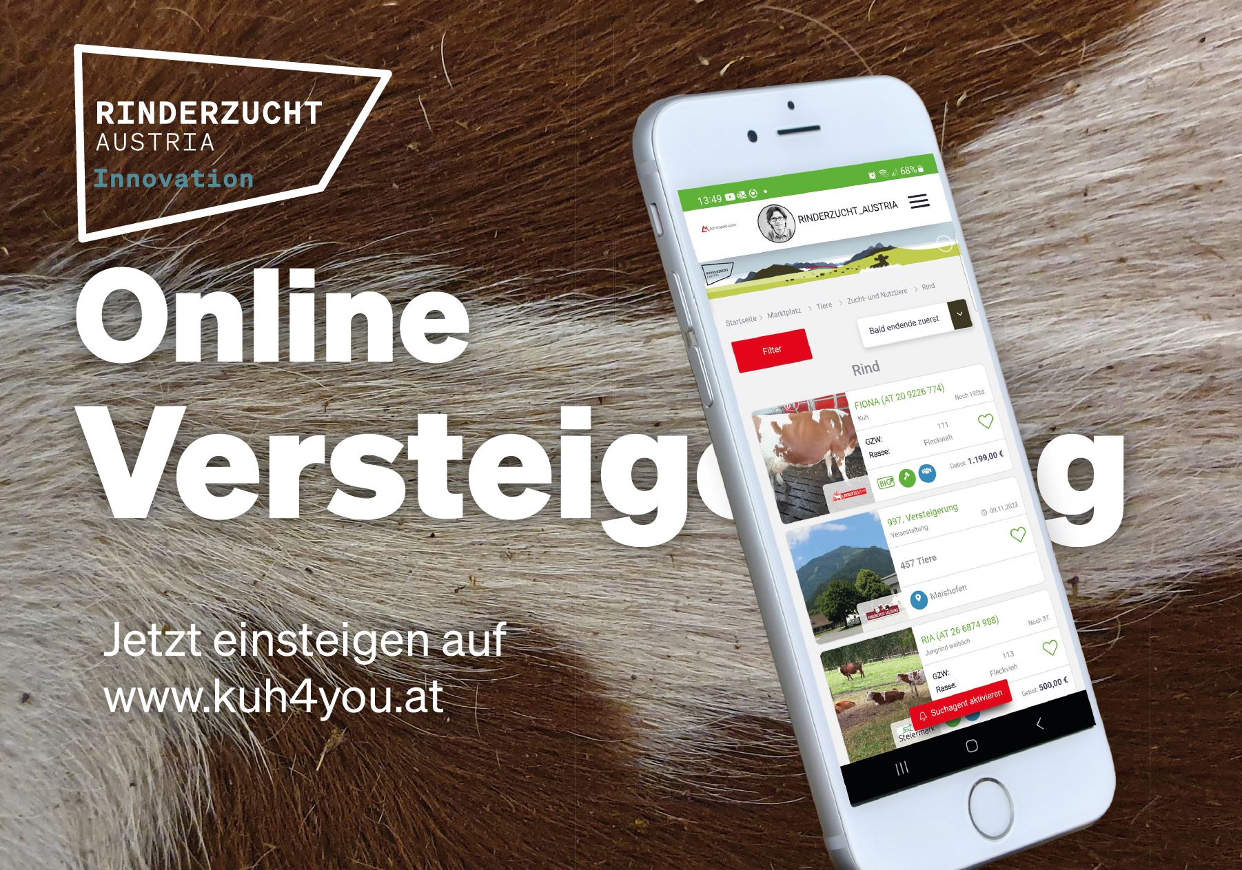 Versteigerungsplattform Kuh4You bietet nun umfassendes Angebot für Zuchtrinder in Österreich