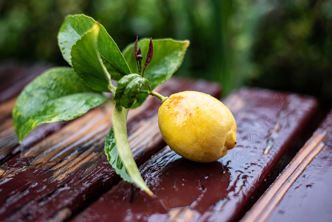 Klimawandel: Extremwetter beeinflusst die steirische Landwirtschaft und Ernteerträge