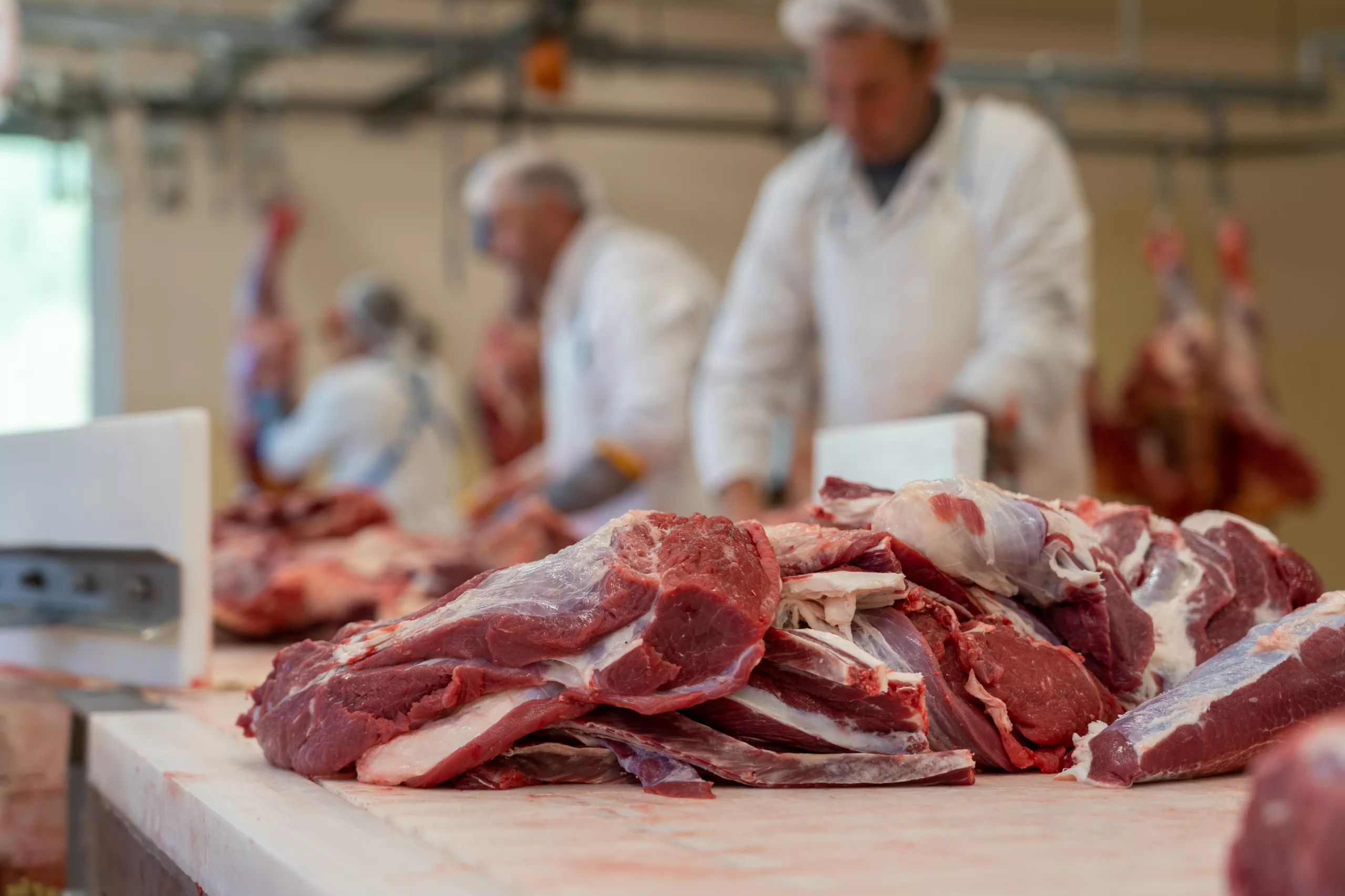 Land schafft Leben: Fleischkonsum – einmal um die Welt