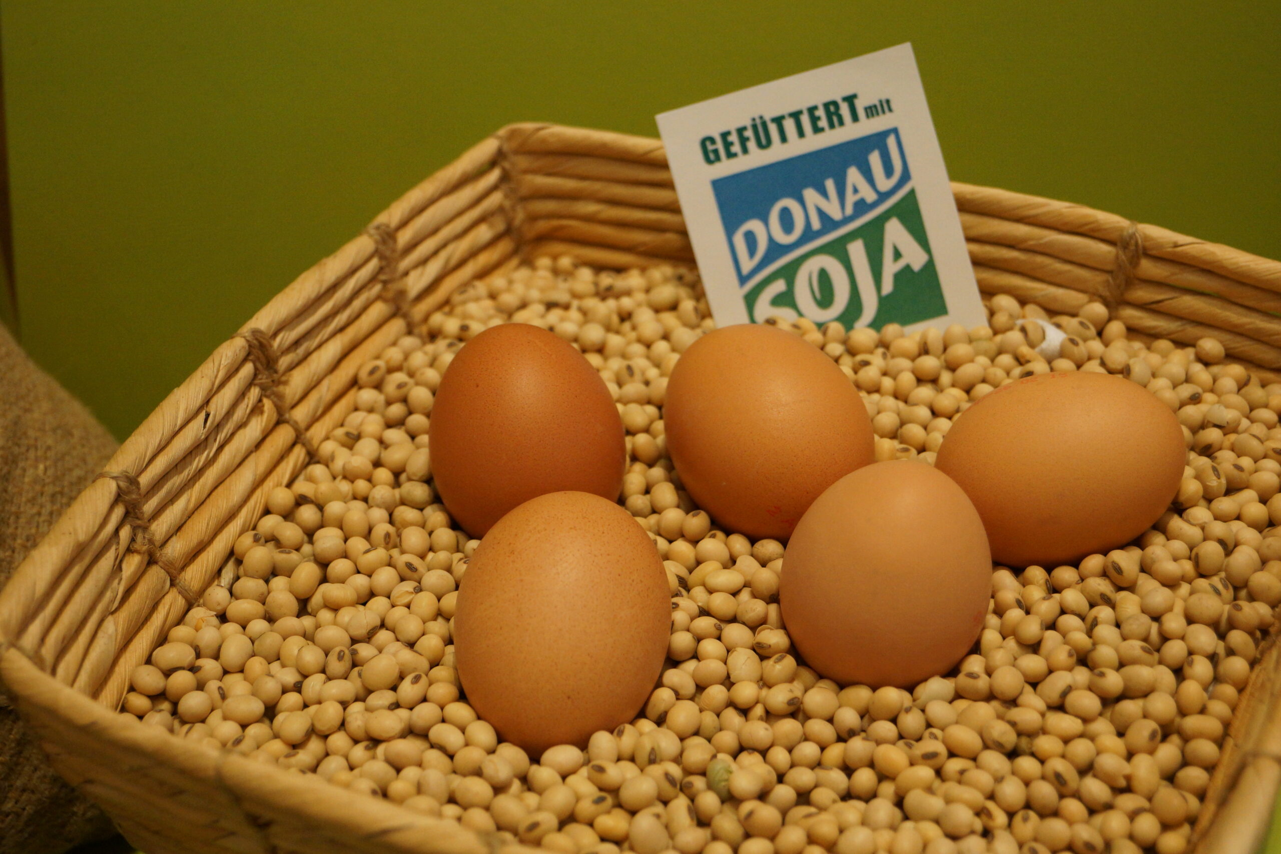 Österreichische Legehennen als Klimachampions durch Donau-Soja Futter