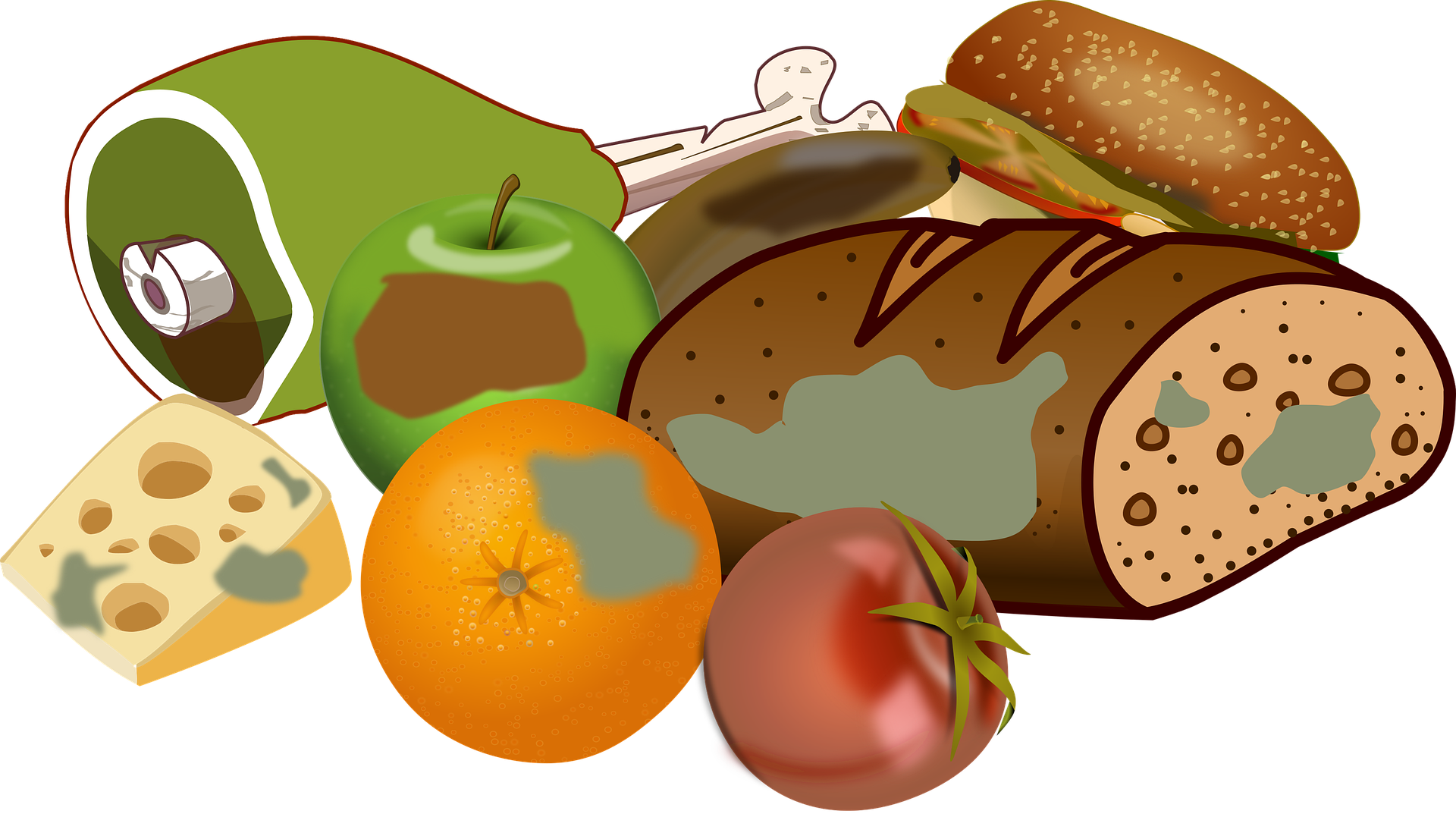 Lebensmittelverschwendung vermeiden: Warum der Gang zum Fleischer Klimaschutz bedeutet