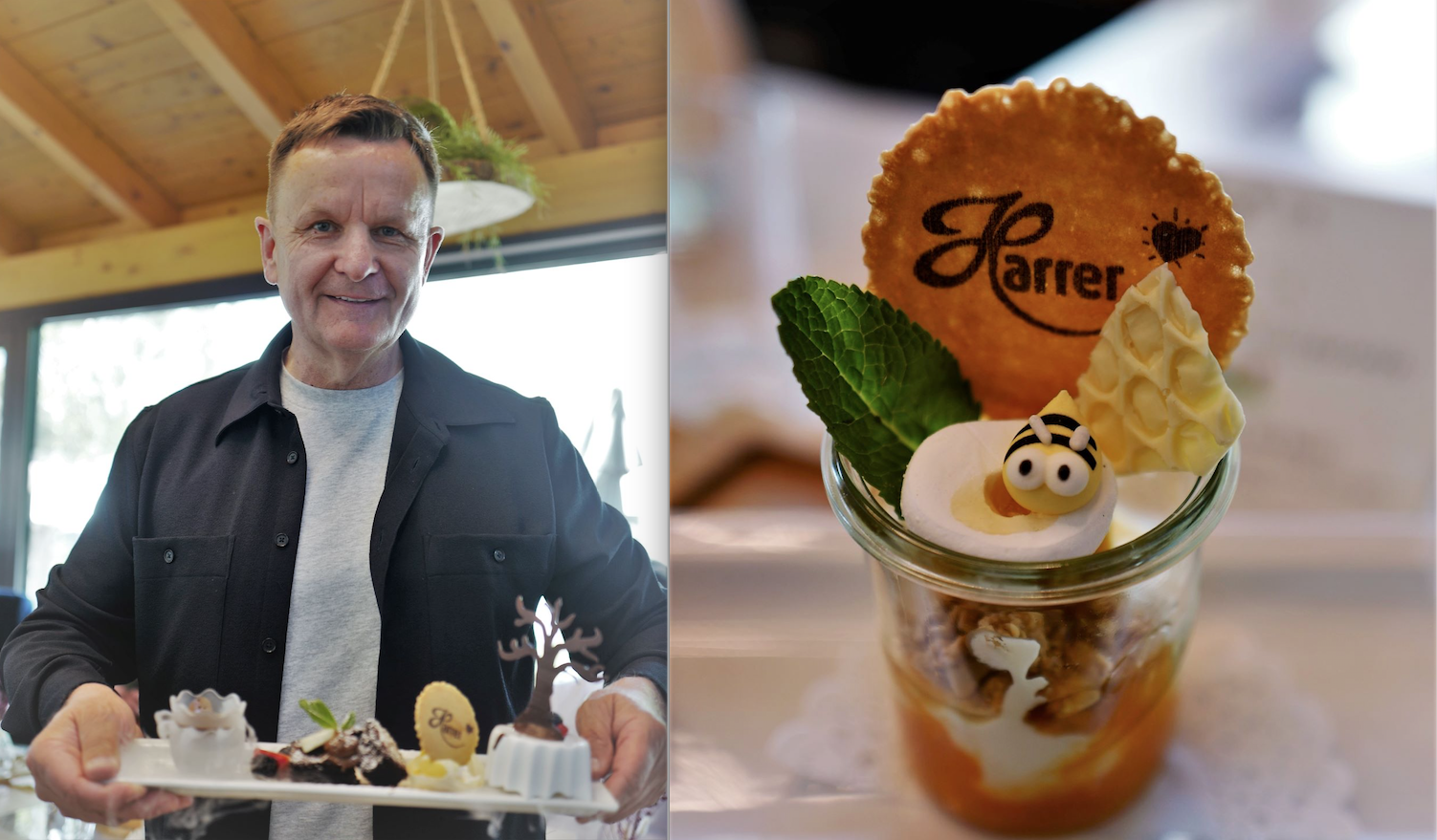 Steiner und Harrer: Eis und Fleisch im Boxen-Doppelpack