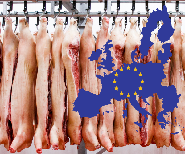 Chinesisches Anti-Dumping-Verfahren gegen europäische Schweinefleischlieferanten