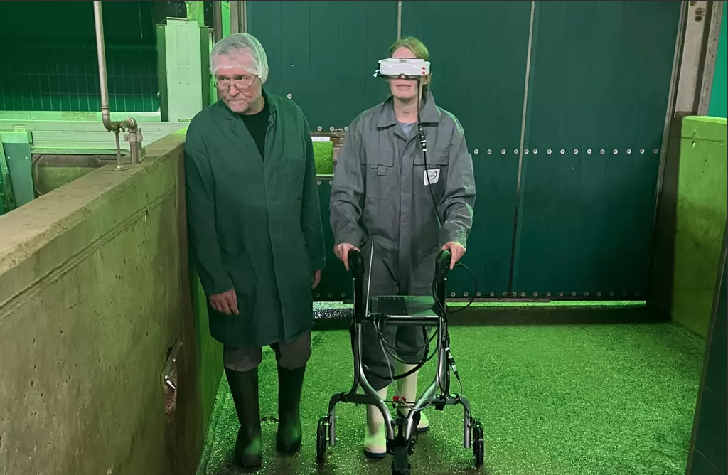 Innovative VR-Technologie für Schweine: Neue Perspektiven für Tierschutz und Schlachtbetrieb in Österreich