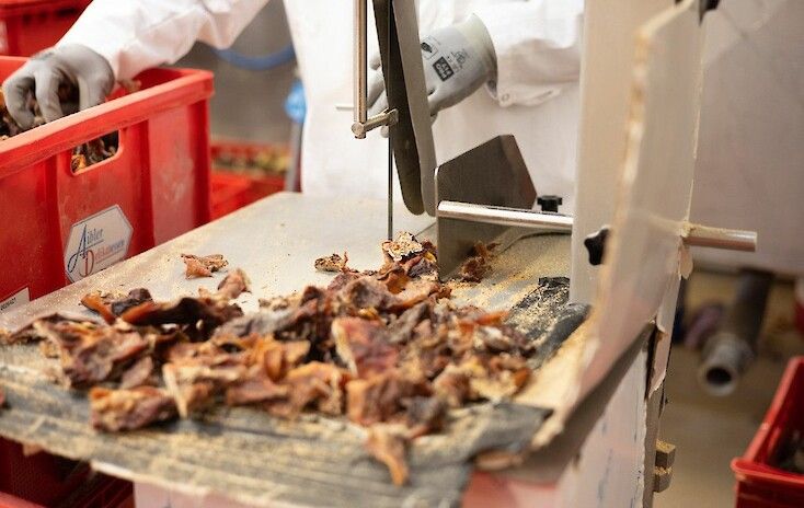 Erzeugung von Tierfutter in Leoben: Marcher Fleischwerke eröffnen zehnten Standort