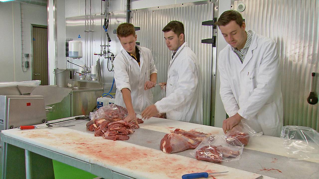 Moderne Metzgerei an der LFS Bruck stärkt regionales Lebensmittelhandwerk