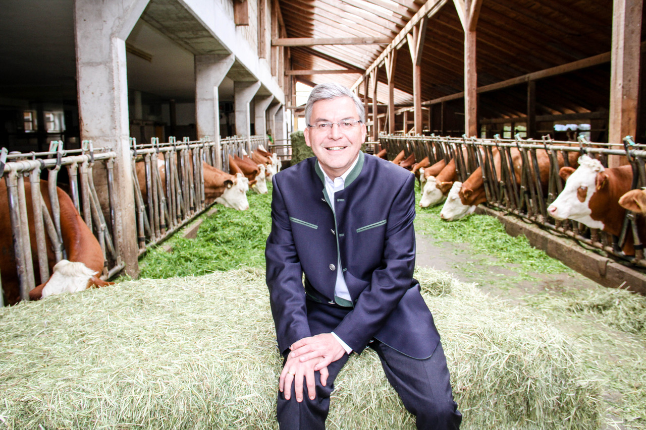 Salzburg bleibt führend in der Bio-Landwirtschaft: Zahlen und Fakten 2023