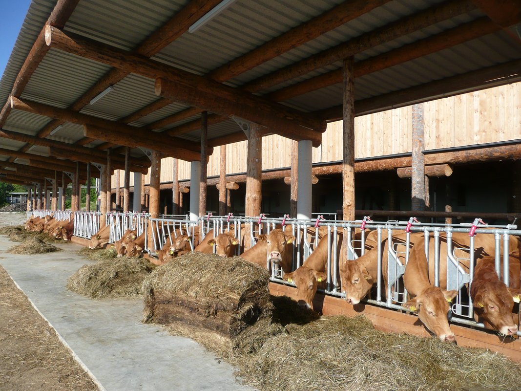 Tierschutzpreis 2025: Auszeichnungen für tierfreundliches Bauen