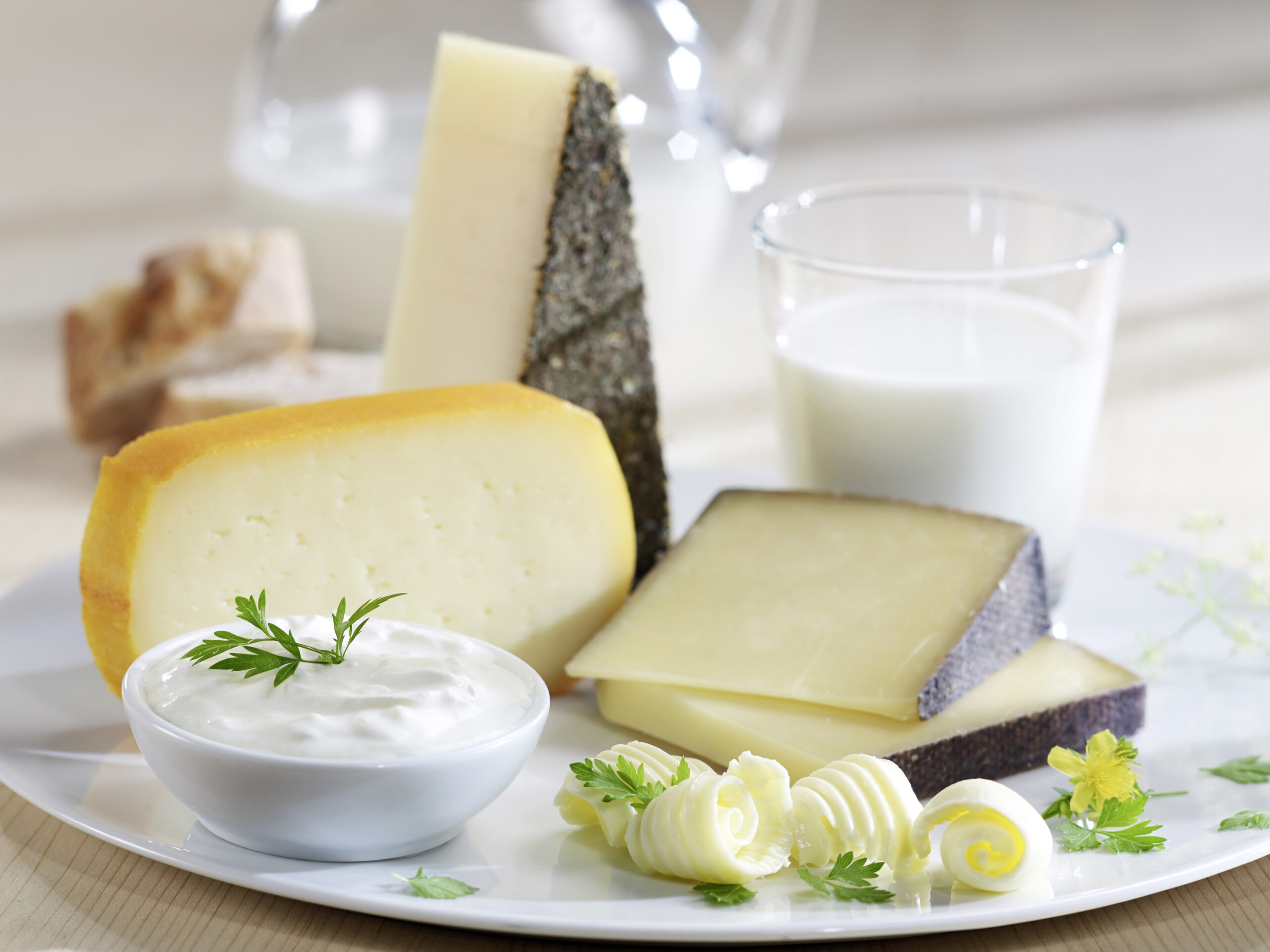 Weltmilchtag 2025: Österreich setzt auf regionales Protein mit AMA-Qualität