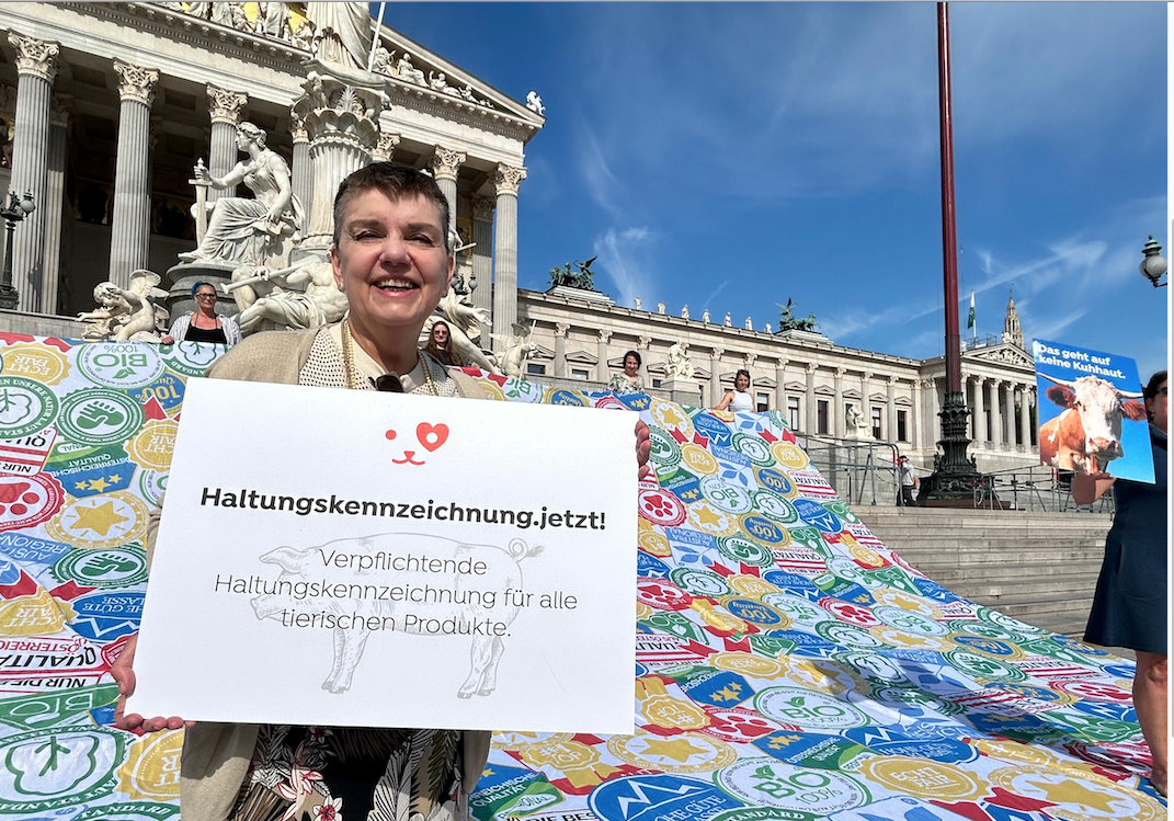 Haltungskennzeichnung jetzt: Tierschutz Austria fordert klare Ampel für Tierwohl in Österreich