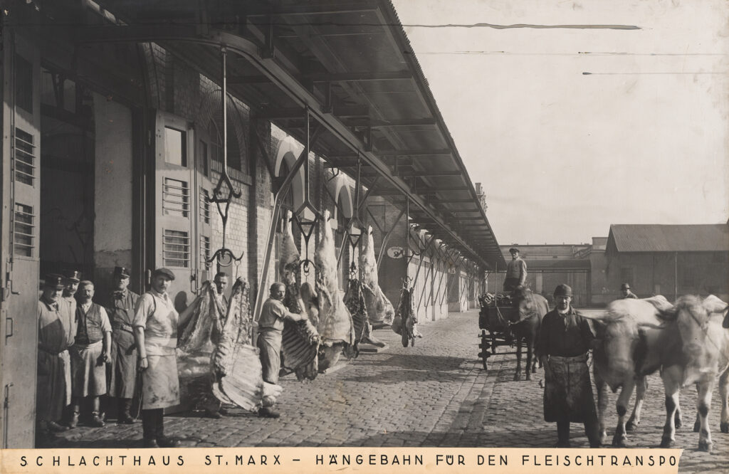 Schlachthof St. Marx in Wien: Über eine Hängebahn wurden die frisch geschlachteten Rinderhälfen transportiert. Das 19. Jahrhundert prägte die Stadt durch riesige Schlachthallen und eine florierende Fleischhauerei-Kultur. © Birgit und Peter Kainz, Wien Museum
