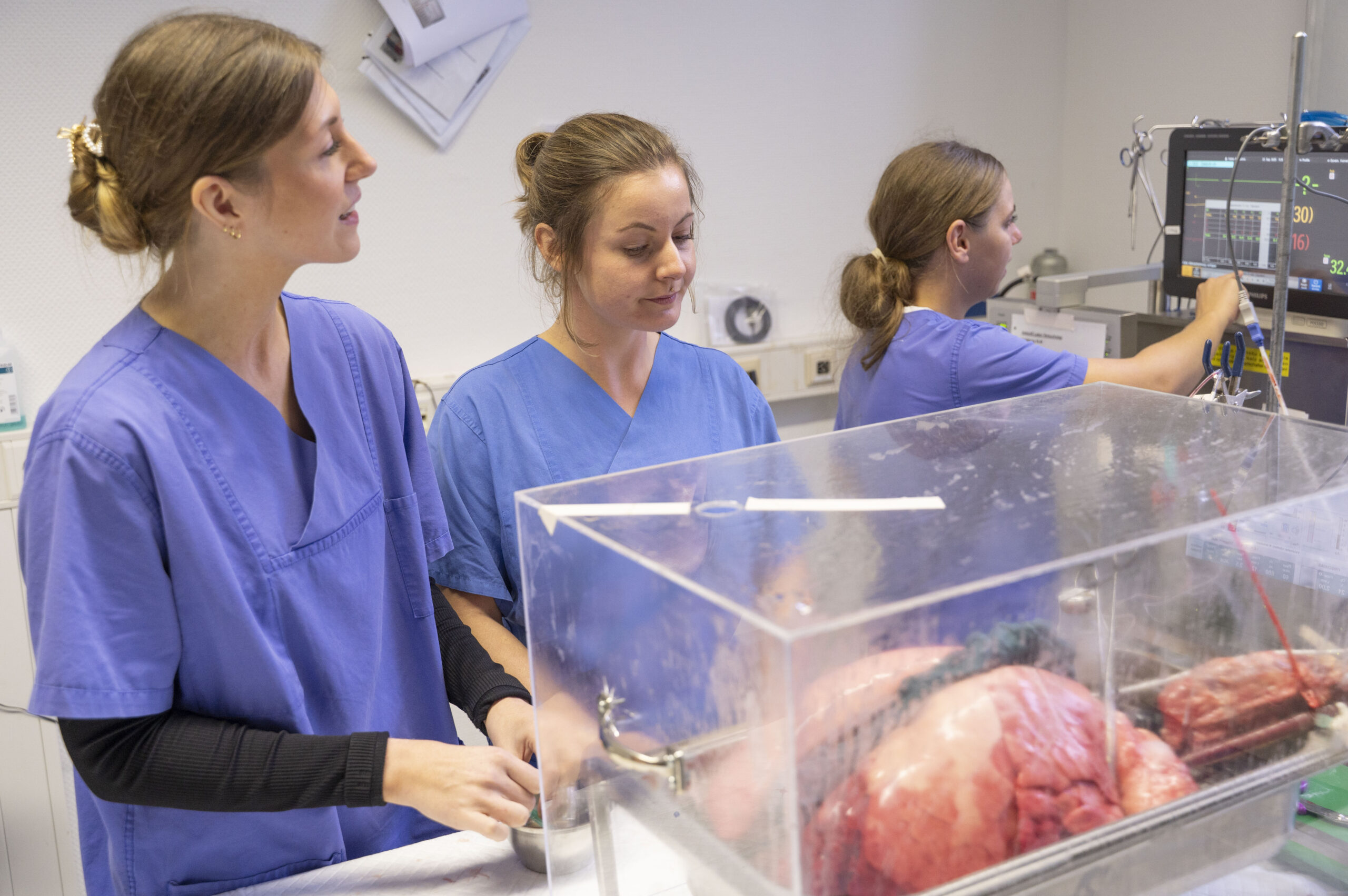 Intensivstation für ein Organ: Die Technikerin Nina Bewersdorf und die Doktorandinnen Lisa Lorenzen und Nadine Heck schließen die Lunge an technische Geräte an. © Laura Glücklich