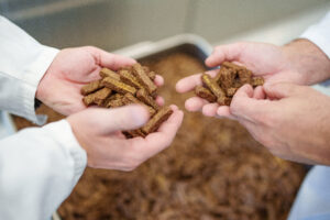 Vom Filet bis zum geformten Snack: WP Tiernahrung verarbeitet ein breites Sortiment an Hundeleckerlis – von naturbelassenen Stücken bis zu maschinell geformten Produkten, deren Qualität in jedem Produktionsschritt geprüft wird. © Henry Gasselich